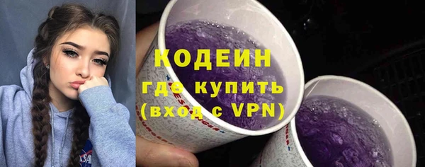 таблы Бородино
