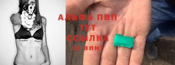 таблы Бородино