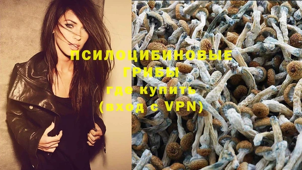 гидра Бугульма