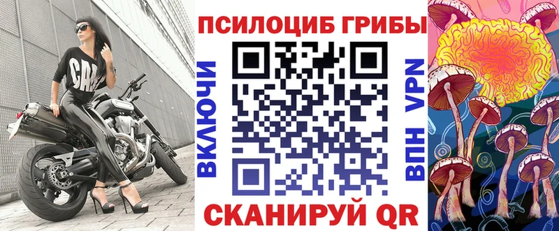 Псилоцибиновые грибы GOLDEN TEACHER  купить  сайты  Грязи 